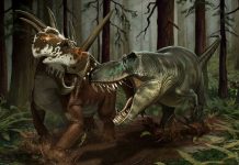 Path of Titans – Now Available on iOS