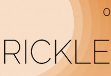 Addictive Casual Game Rickle Is Raising Money for Environmental Charities