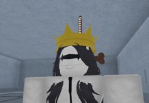 Type Soul Controls Feature image for our Type Soul controls guide. It shows an Arrancer character in a mask and crown.