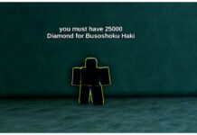 Rock Fruit Haki Guide – Obtainment and Buffs! Feature image for our rock fruit haki guide showing the haki trainer npc standing in the centre of the frame