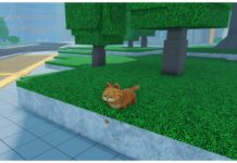 Fire Force Reignition Evangelist Guide Feature image for our fire force reignition evangelist guide showing a Garfield cat sitting in grass