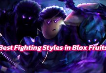 Blox Fruits Tier List – The Best Fighting Styles