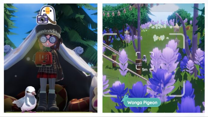 where-to-find-the-wonga-pigeon-in-heartopia Feature image for our where to find wonga pigeons in heartopia guide showing a two-way collage of a player with a wonga pigeon and a shot through a camera showing the wonga pigeon