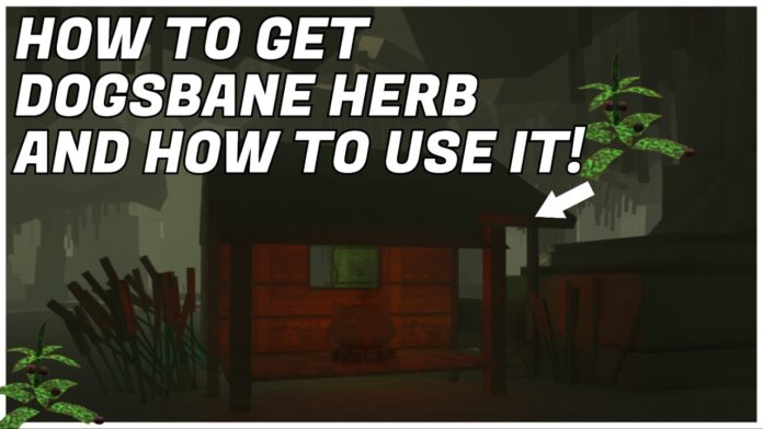 where-to-find-dogbane-herb-in-bridger-western Feature image for our where to find digsbane herb in bridger western showing the mud witches hut in the murky swamp with dogbane on the screen with an arrow pointing to the house